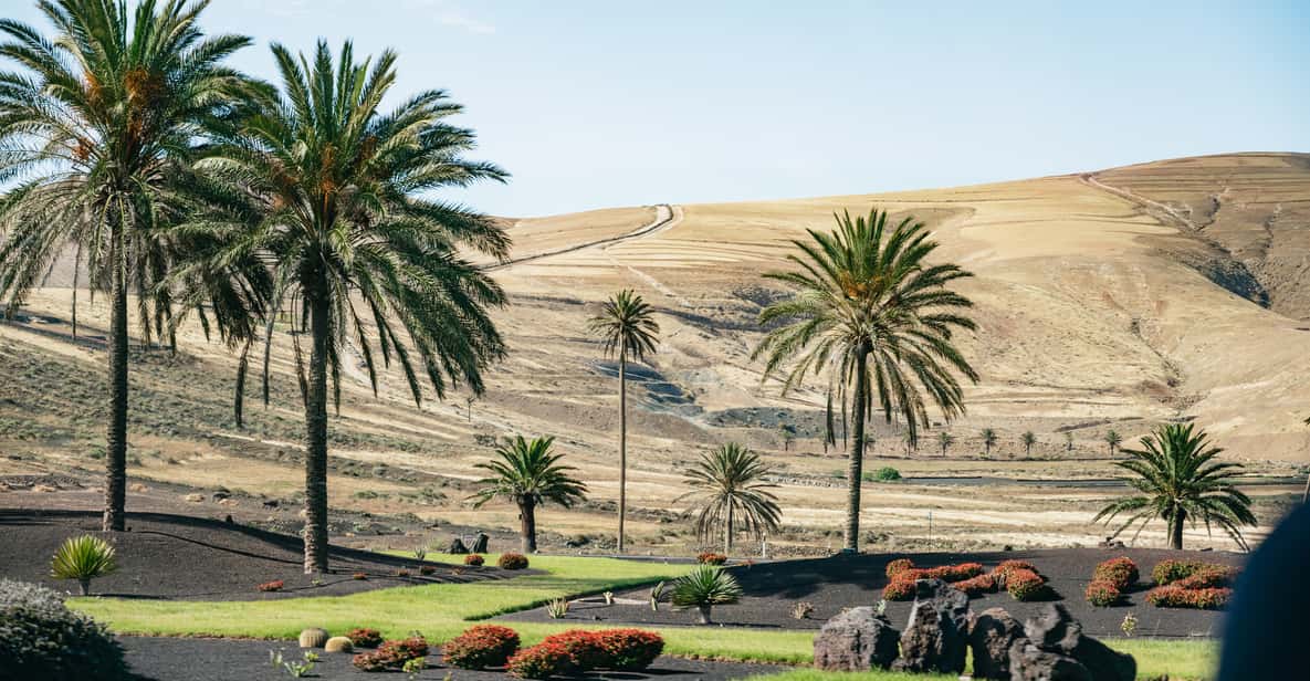 Afbeelding 3 van Lanzarote: tour Nationaal Park Timanfaya en La Geria