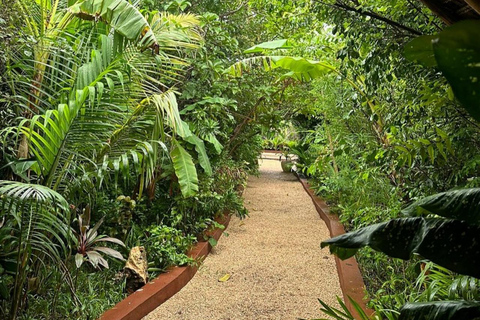 Zanzibar: foresta di Jozani, grotta di Maalum e tour della spiaggia di MtendeTour privato con servizio di prelievo e rientro in hotel incluso
