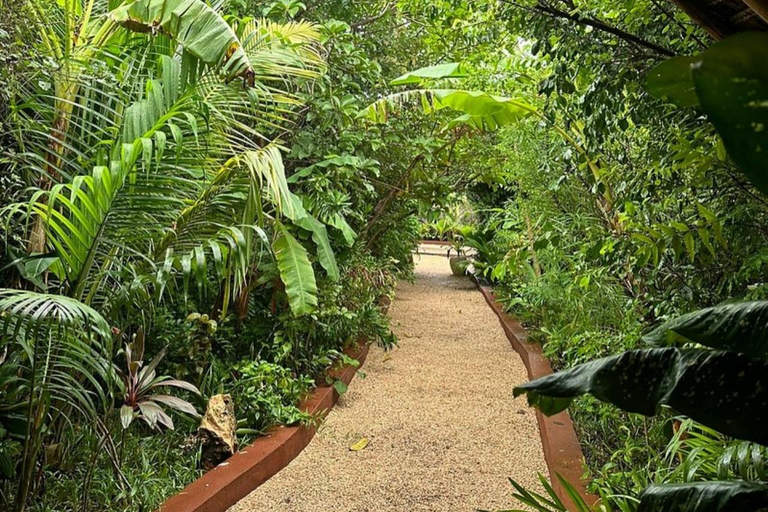 Zanzibar: foresta di Jozani, grotta di Maalum e tour della spiaggia di MtendeTour privato con servizio di prelievo e rientro in hotel incluso