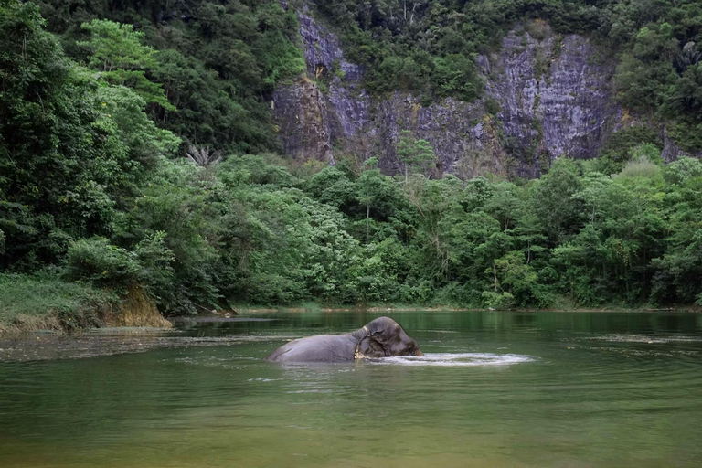 Krabi: Ethical Elephant Sanctuary & Tiger Cave Temple Tour