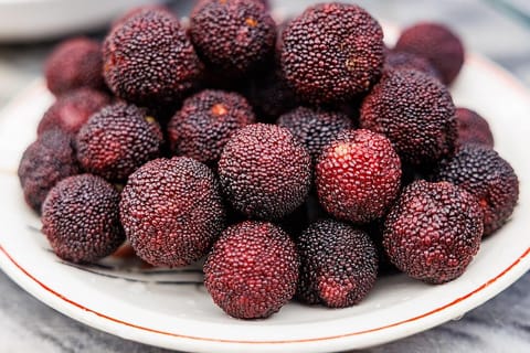 Shanghai: Xianghu Flowers & Bayberry Private Day Trip