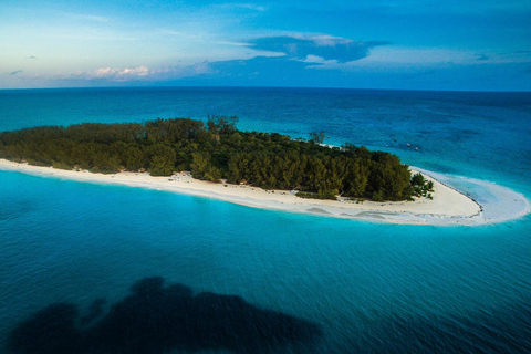 Mnemba island and dolphin tour from matemwe