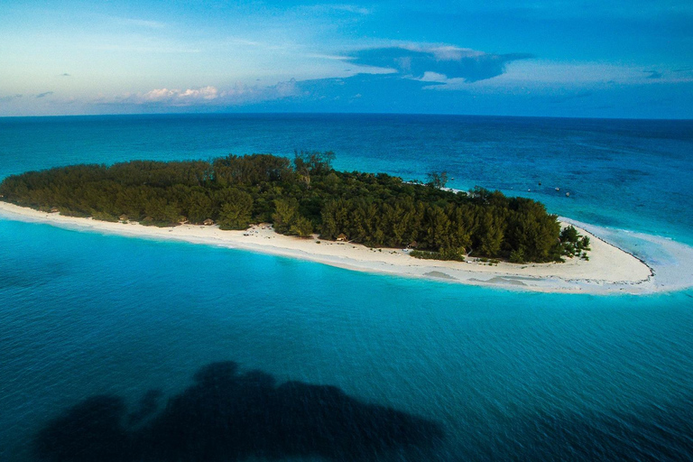 Mnemba island and dolphin tour from matemwe