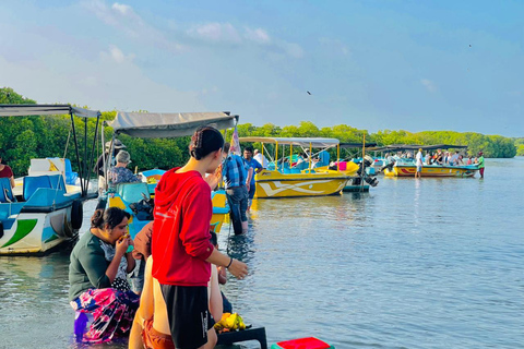 From Negombo: Boat Tour of Negombo Lagoon