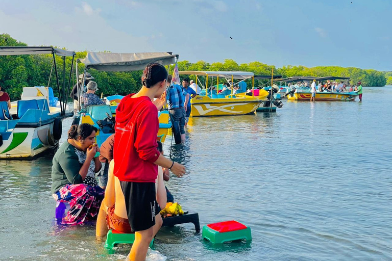 From Negombo: Boat Tour of Negombo Lagoon