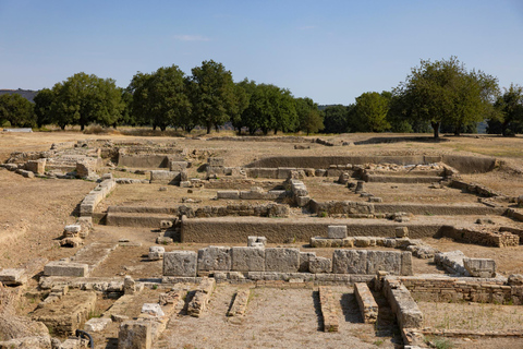 Visite privée d'une demi-journée du port de Katakolo à l'ancienne Ilis