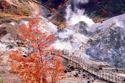 From Sapporo: Toya Lake and Noboribetsu Hell Valley Tour Depart from Sapporo Tokyu REI Hotel