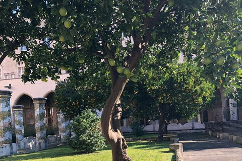 جولة خاصة بانورامية في نابولي من نابولي