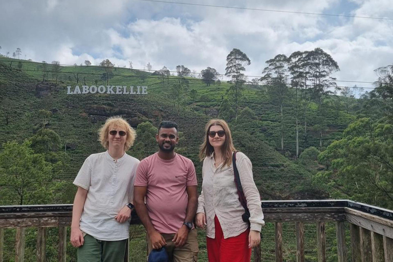 From Kandy to Nuwara Eliya & Moon Plains – Tuk‑Tuk Day Tour From Kandy: Moon Plains Highlands Viewpoint Experience