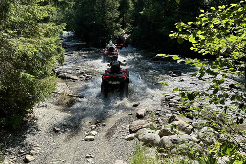 Zakopane: Snowmobile, Quad, or Buggy Tatra Mountains Tour