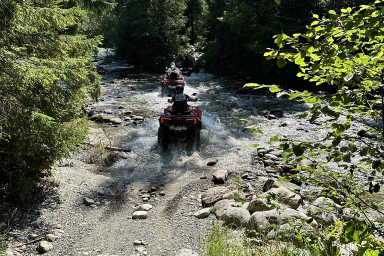 Zakopane: Snowmobile, Quad, or Buggy Tatra Mountains Tour