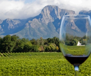 Private Cape Winelands Tour