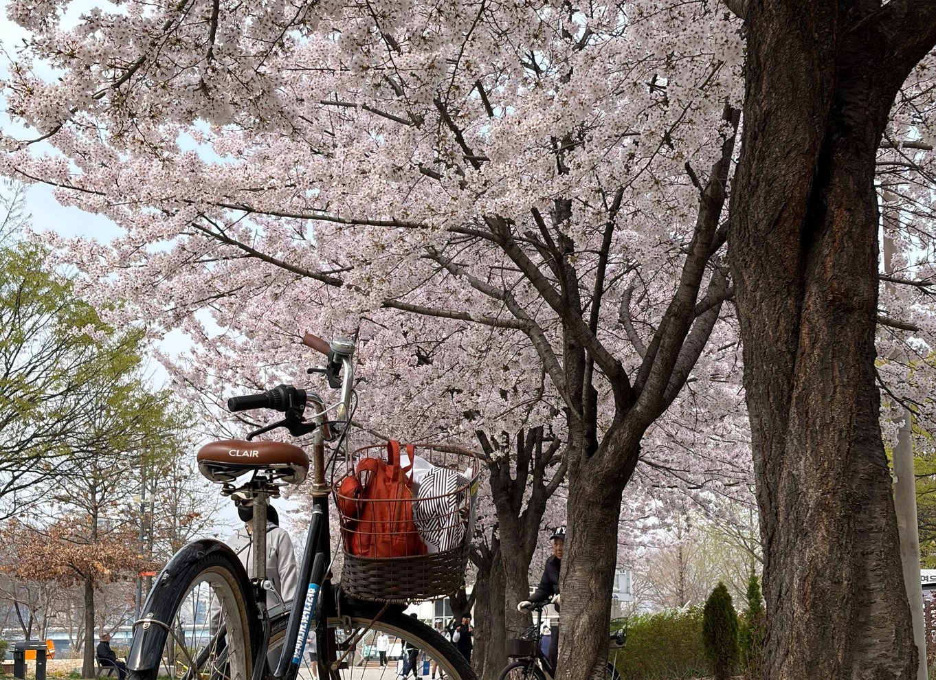Seoul: Cykeltur til højdepunkterne langs Han-floden
