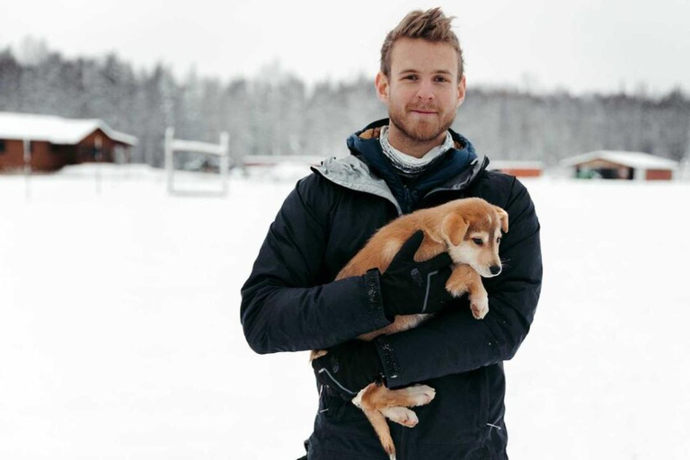 Talkeetna: تجربة تزلج الكلاب في فصل الشتاء في ألاسكا