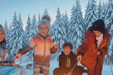 Whistler: Holiday Sleigh Ride