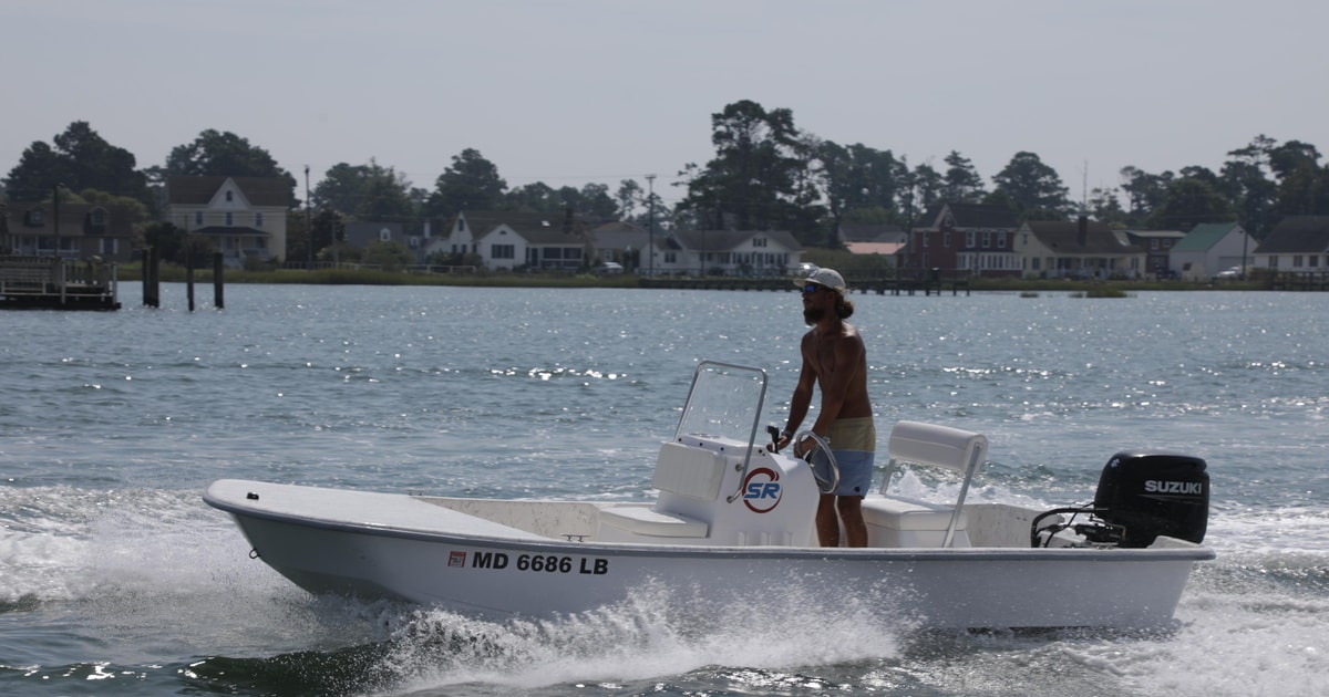 Chincoteague Island Pony Swim & Jet Ski Rental GetYourGuide