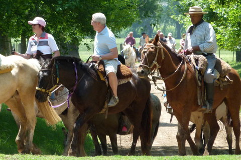 Buenos Aires: Authentic Gaucho Day Trip in Small Group