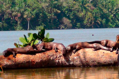 Découvrez le festival de la plume à l&#039;argilière de Chuncho