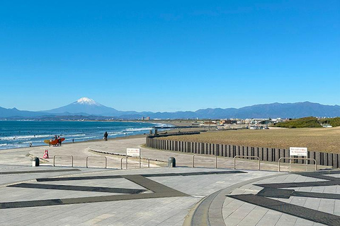 From Tokyo: Aikawa Park & Enoshima Private Family Day Trip From Tokyo: Private Family Trip to Aikawa Park & Enoshima