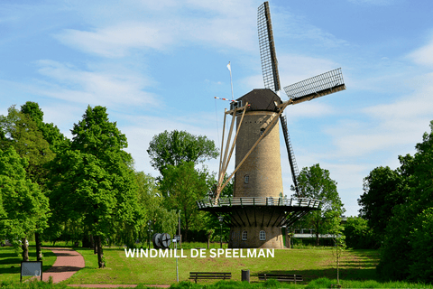 Rotterdam countryside on the wheels - bike tour around city