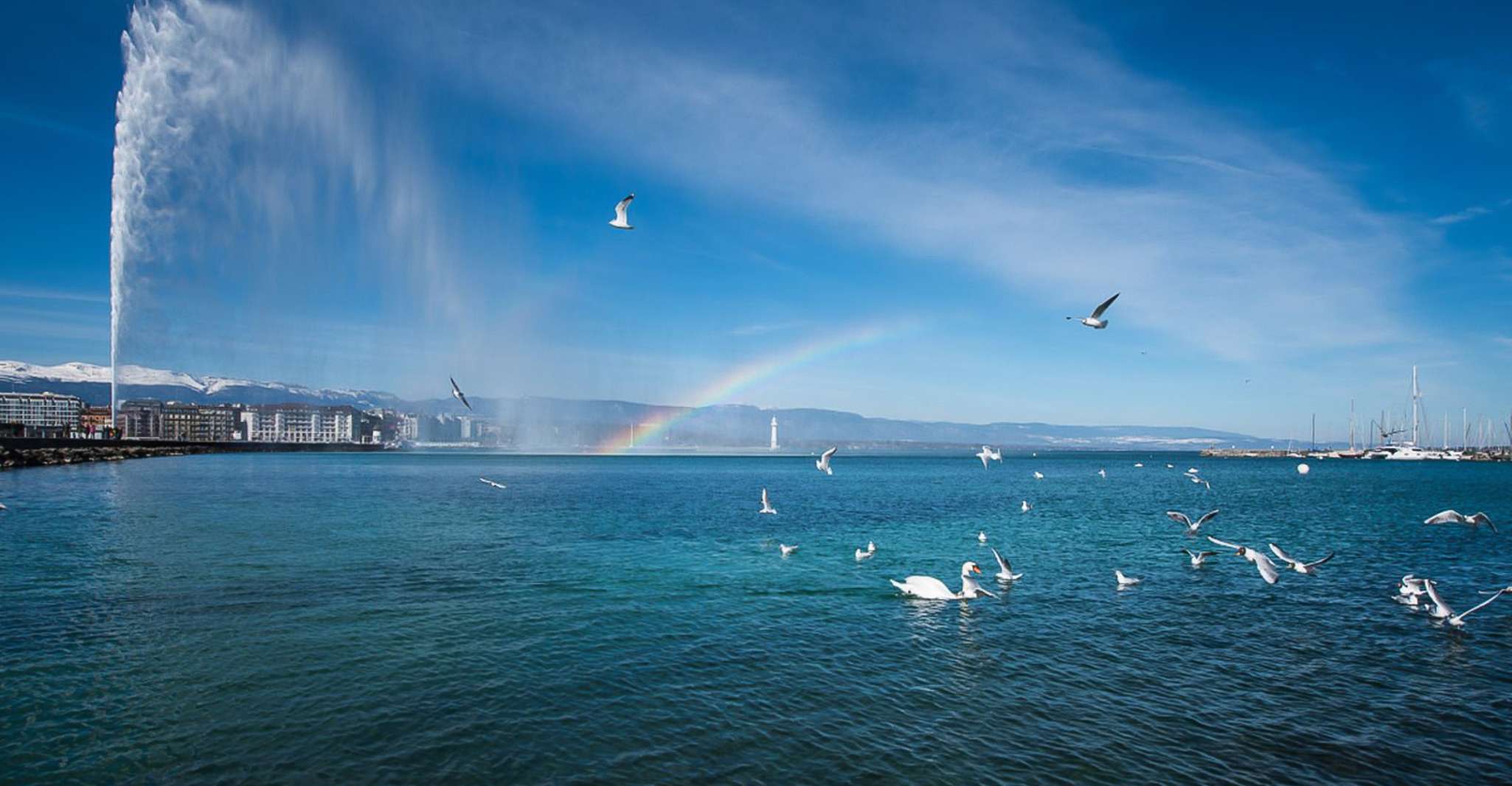 Genève City Tour and Boat Cruise - Housity