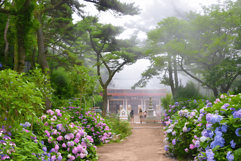 Para pasajeros de cruceros del puerto de Busan : Recorrido esencial por Busan