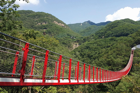DMZ (3rd Tunnel)+Suspension Bridge Guided Private Tour [Private Tour] DMZ+Suspension Bridge