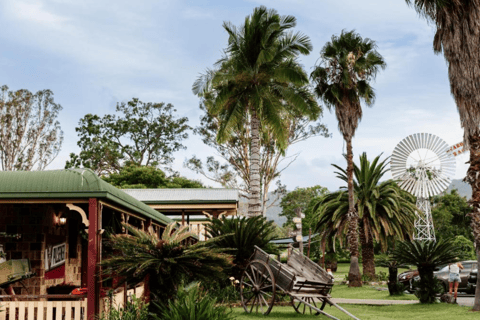 Brisbane: Helicopter Pub Crawl with Scenic Flights