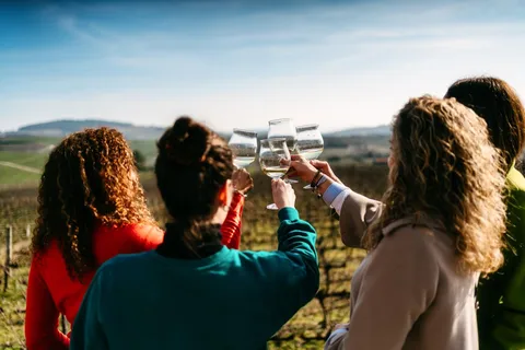 Porto: Douro Valley Tour with 2 Wineries, Lunch and Cruise