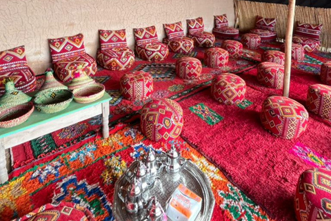 Marrakech: Agafay Desert Lunch Pool, Quad Biking, Camel Ride