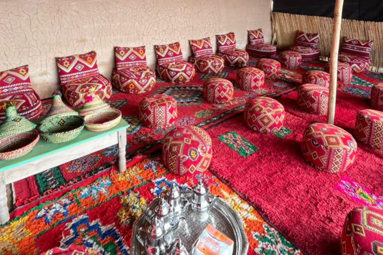 Marrakech: Agafay Desert Lunch Pool, Quad Biking, Camel Ride