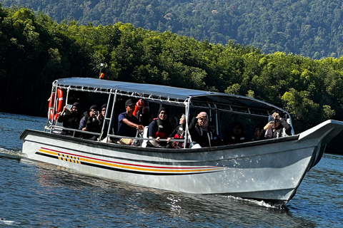 Tanjung Rhu Private Mangrove Tour 2 Hours