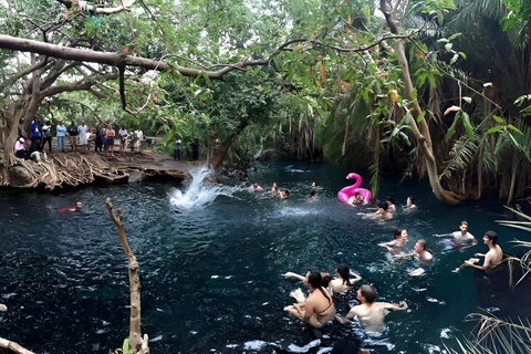 Moshi : Excursión de un día a las Termas de Kikuletwa con traslados