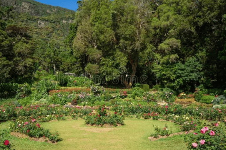 Kandy: tour di un giorno a Nuwara Eliya ($90 per gruppo fino a 3 persone)