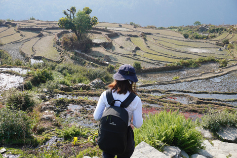 Pokhara: Alle vrouwen Ghorepani Poon Hill trektocht