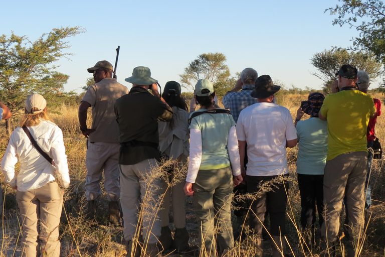 Victoria Falls & Chobe: 3-Day Safari with Cruise & Meals