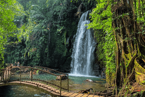 Bali: Ubud Rice Terraces, Monkey Forest & Waterfall Tour Full Package: All entry fees & lunch included