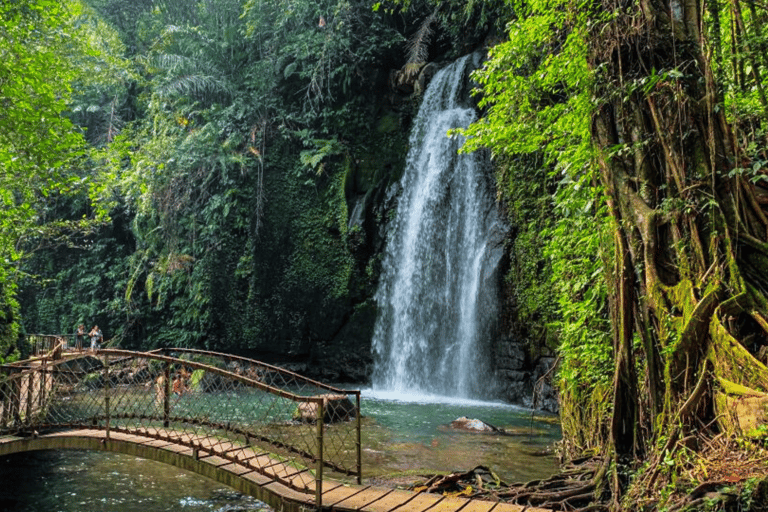 Bali: Ubud Rice Terraces, Monkey Forest & Waterfall Tour Full Package: All entry fees & lunch included