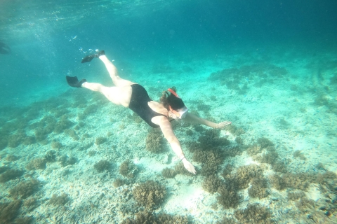 4 godziny Snorkeling 3 Gilis (Trawangan, Meno, Gili air)