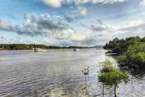 Goa Viaje de Aventura en el Río Mandovi