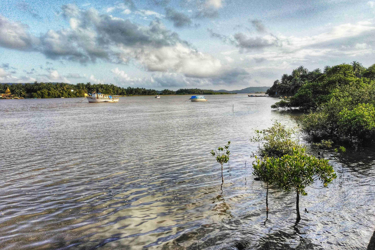 Goa Viaje de Aventura en el Río Mandovi