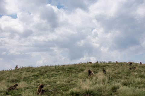 Addis Abeba: Simien Mountains Trekking Tour mit FlügenAddis Abeba: Trekking in den Simien Mountains mit Flügen