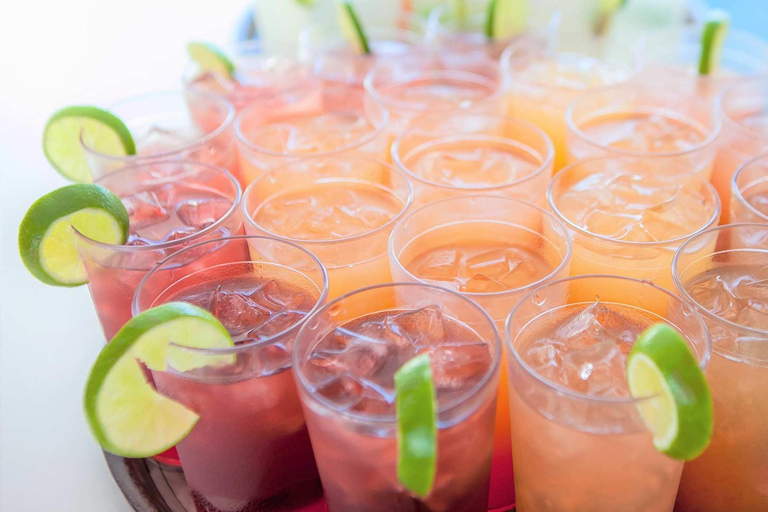 Cabo San Lucas: Walbeobachtungserlebnis auf dem KatamaranWhale Watching Erlebnis