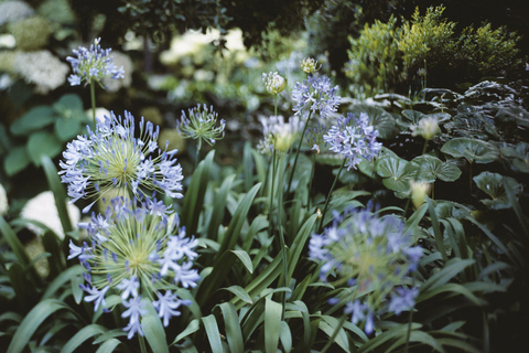 Venice: Convent Garden of Redentore Entry Ticket General Admission Entry Ticket