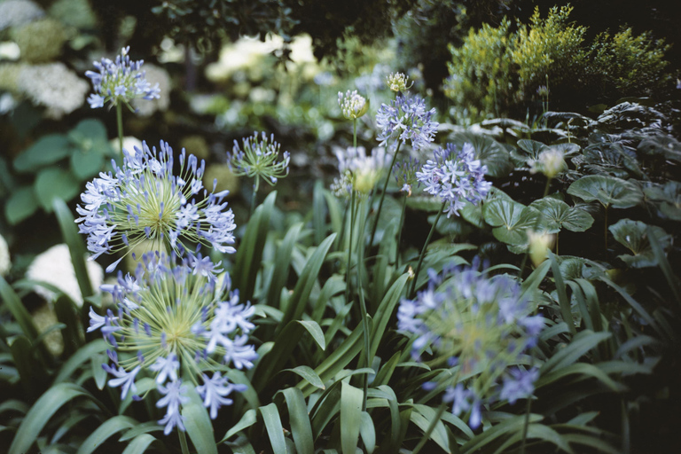 Venice: Convent Garden of Redentore Entry Ticket General Admission Entry Ticket