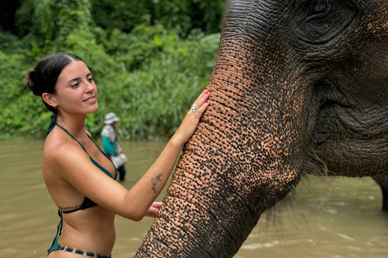 Chiang Mai: Santuário de elefantes, trilha dos monges e excursão a Doi SuthepPonto de encontro