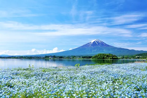 Tokyo: Mt. Fuji and Kawaguchiko Full-Day English Guided Tour