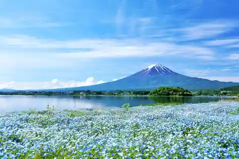 Tokyo: Fuji-fjellet og Kawaguchiko Busstur med taubane og cruise