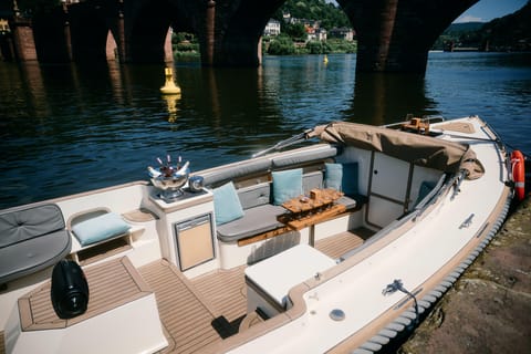 Heidelberg: Privatboot-Fahrt mit Kapitän, 1,5h, bis 12 Gäste, ab 40€ p./P.