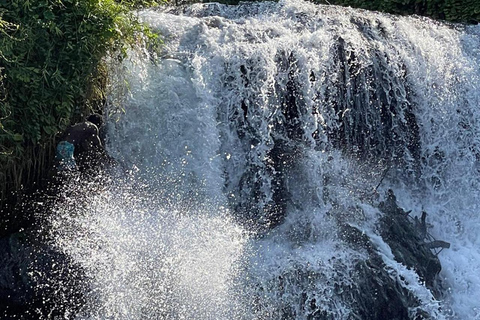 Arusha : Visite du café Materuni avec sources d&#039;eau chaude et déjeuner